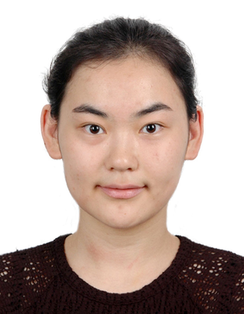 ZHANG Yingchen
